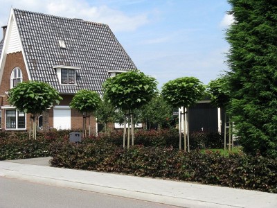 bolvorm_003